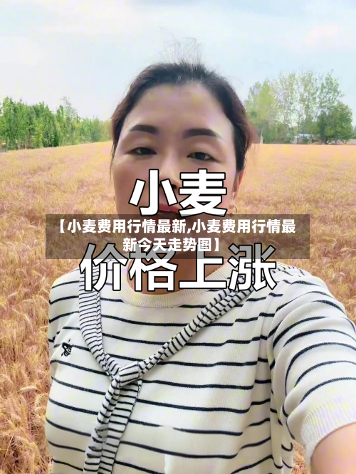 【小麦费用行情最新,小麦费用行情最新今天走势图】-第1张图片