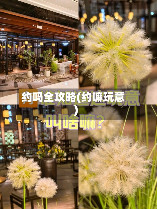 约吗全攻略(约嘛玩意)-第1张图片