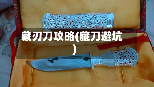 藏刃刀攻略(藏刀避坑)-第1张图片