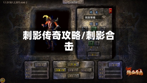 刺影传奇攻略/刺影合击-第2张图片