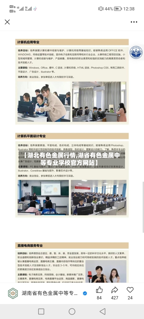 【湖北有色金属行情,湖省有色金属中等专业学校官方网站】-第1张图片