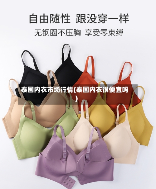 泰国内衣市场行情(泰国内衣很便宜吗)-第2张图片