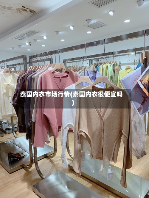 泰国内衣市场行情(泰国内衣很便宜吗)-第1张图片
