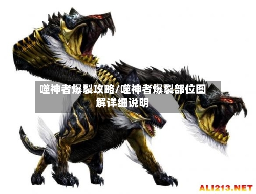 噬神者爆裂攻略/噬神者爆裂部位图解详细说明-第1张图片