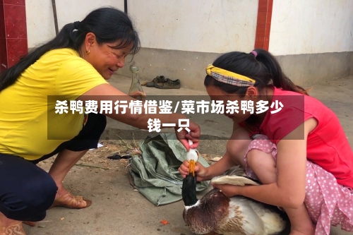 杀鸭费用行情借鉴/菜市场杀鸭多少钱一只-第1张图片