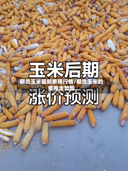 期货玉米最新费用行情/期货玉米的费用走势图-第1张图片