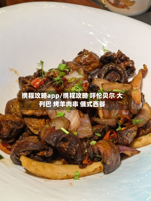携程攻略app/携程攻略 呼伦贝尔 大列巴 烤羊肉串 俄式西餐-第1张图片