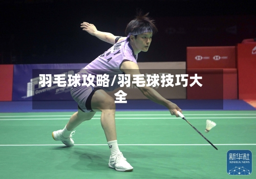 羽毛球攻略/羽毛球技巧大全-第1张图片