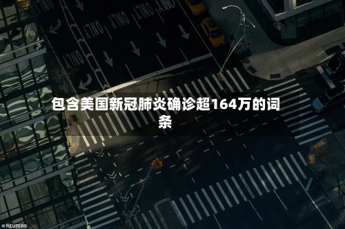 包含美国新冠肺炎确诊超164万的词条
