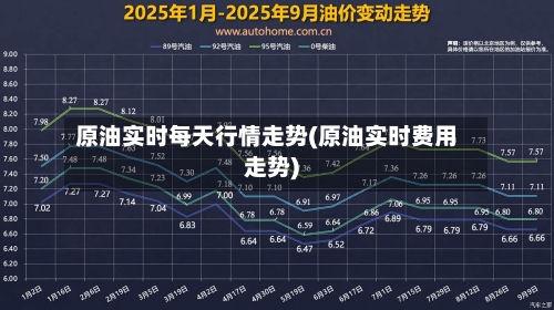 原油实时每天行情走势(原油实时费用走势)