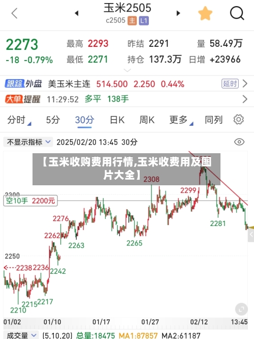 【玉米收购费用行情,玉米收费用及图片大全】-第1张图片