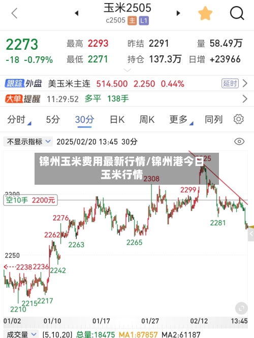 锦州玉米费用最新行情/锦州港今日玉米行情-第1张图片