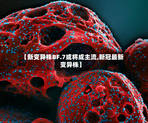 【新变异株BF.7或将成主流,新冠最新变异株】-第2张图片