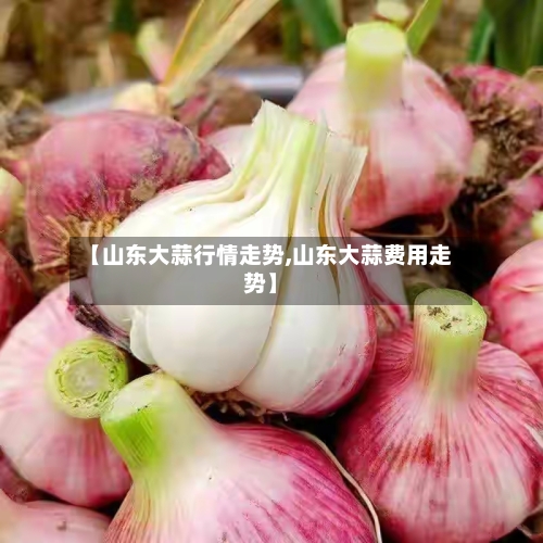 【山东大蒜行情走势,山东大蒜费用走势】-第1张图片
