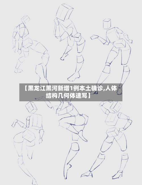 【黑龙江黑河新增1例本土确诊,人体结构几何体速写】-第1张图片