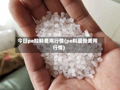 今日pe粒料费用行情(pe料最新费用行情)-第1张图片
