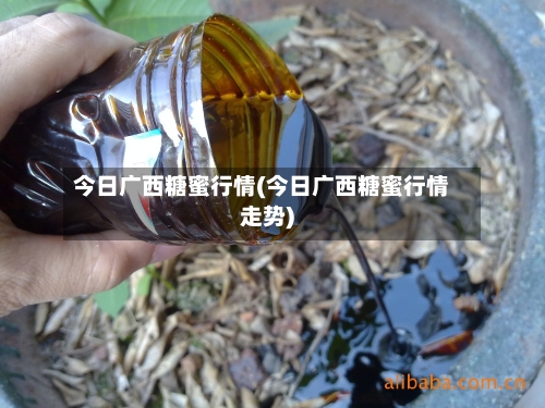 今日广西糖蜜行情(今日广西糖蜜行情走势)-第1张图片