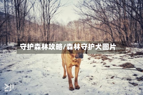 守护森林攻略/森林守护犬图片-第1张图片