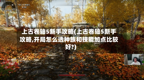 上古卷轴5新手攻略(上古卷轴5新手攻略,开局怎么选种族和技能加点比较好?)-第1张图片