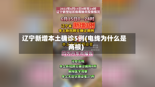 辽宁新增本土确诊5例(电线为什么是两根)-第1张图片