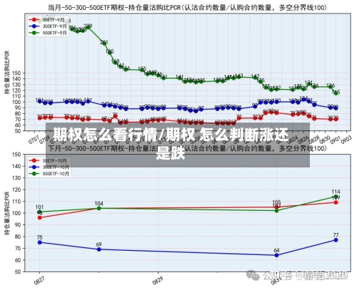 期权怎么看行情/期权 怎么判断涨还是跌-第2张图片