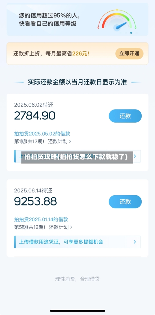 拍拍贷攻略(拍拍贷怎么下款就稳了)-第1张图片