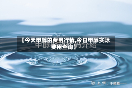 【今天甲醇的费用行情,今日甲醇实际费用查询】-第1张图片