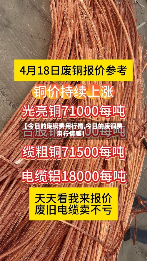 【今日的废铜费用行情,今日的废铜费用行情表】-第1张图片