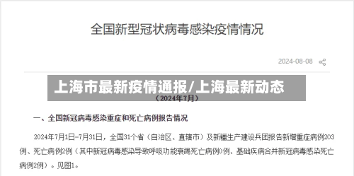 上海市最新疫情通报/上海最新动态-第3张图片