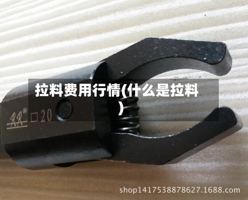 拉料费用行情(什么是拉料)-第2张图片