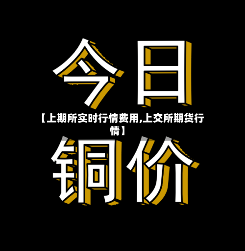 【上期所实时行情费用,上交所期货行情】