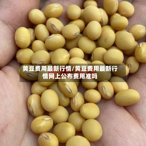 黄豆费用最新行情/黄豆费用最新行情网上公布费用准吗