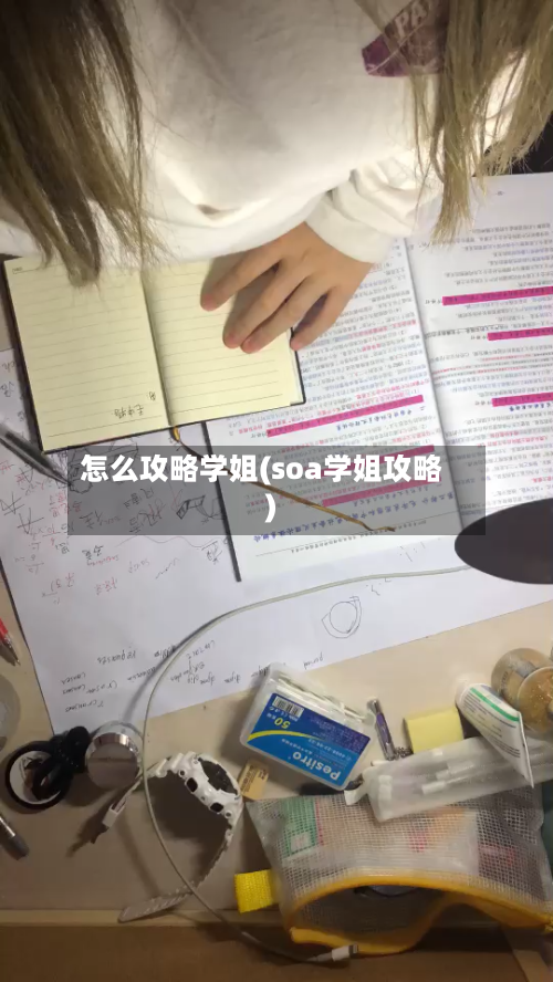 怎么攻略学姐(soa学姐攻略)-第3张图片