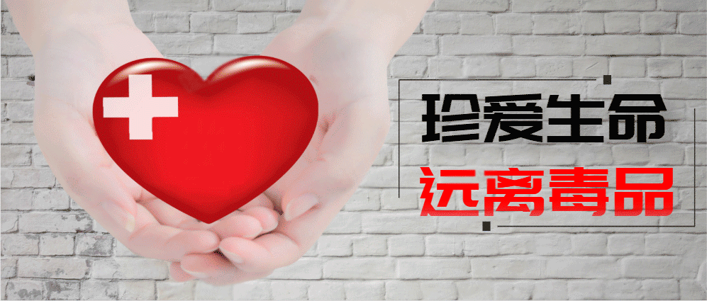 大连疫情最新动态/大连最新疫情通报-第2张图片