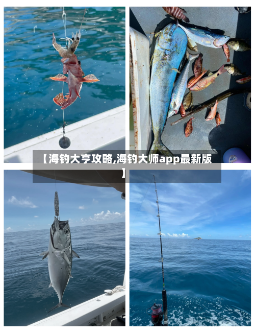 【海钓大亨攻略,海钓大师app最新版】