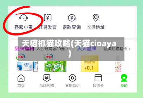 天猫抓猫攻略(天猫cioaya)-第2张图片