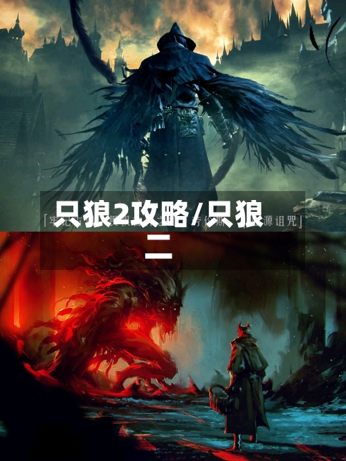 只狼2攻略/只狼二