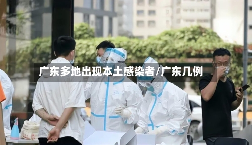 广东多地出现本土感染者/广东几例