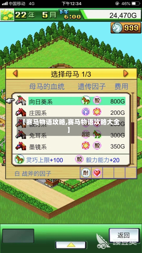 【赛马物语攻略,赛马物语攻略大全】-第2张图片