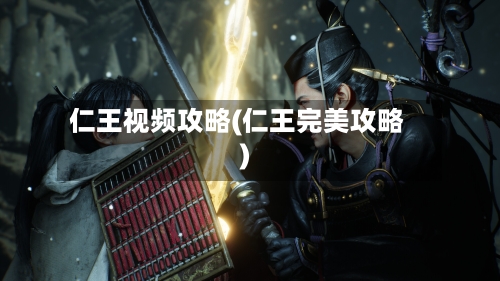 仁王视频攻略(仁王完美攻略)