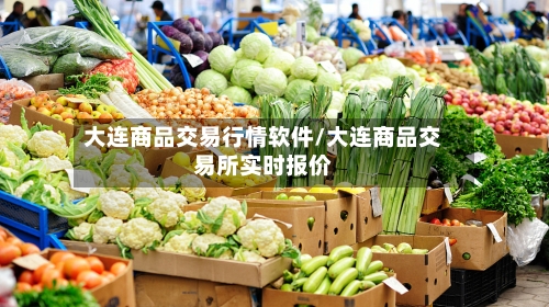 大连商品交易行情软件/大连商品交易所实时报价