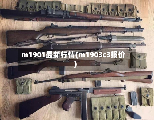 m1901最新行情(m1903c3报价)-第1张图片