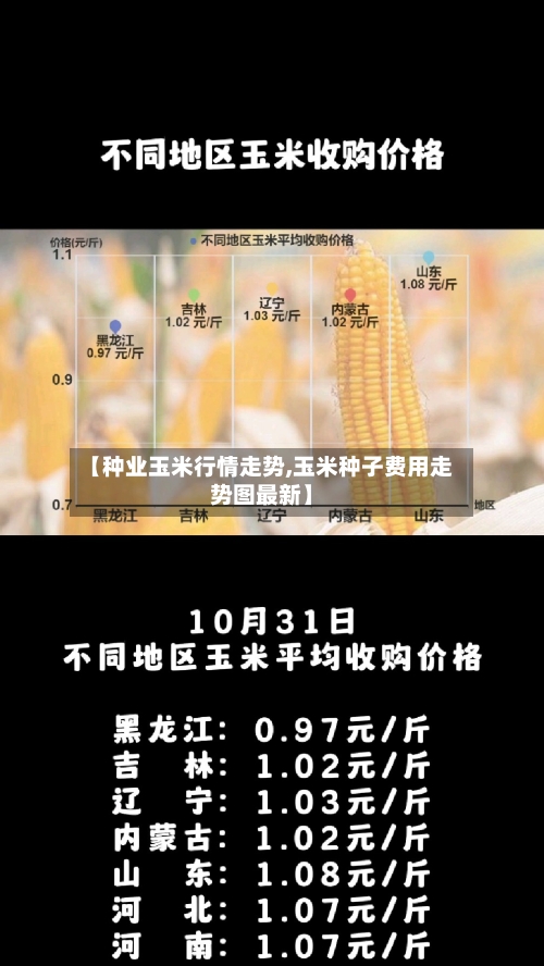 【种业玉米行情走势,玉米种子费用走势图最新】-第2张图片