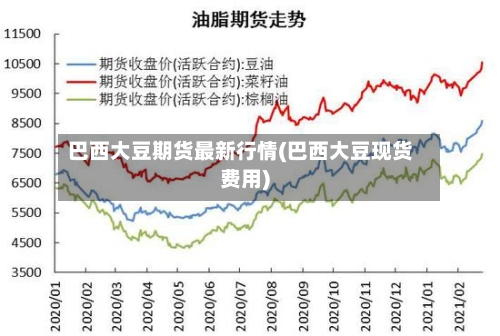 巴西大豆期货最新行情(巴西大豆现货费用)-第3张图片