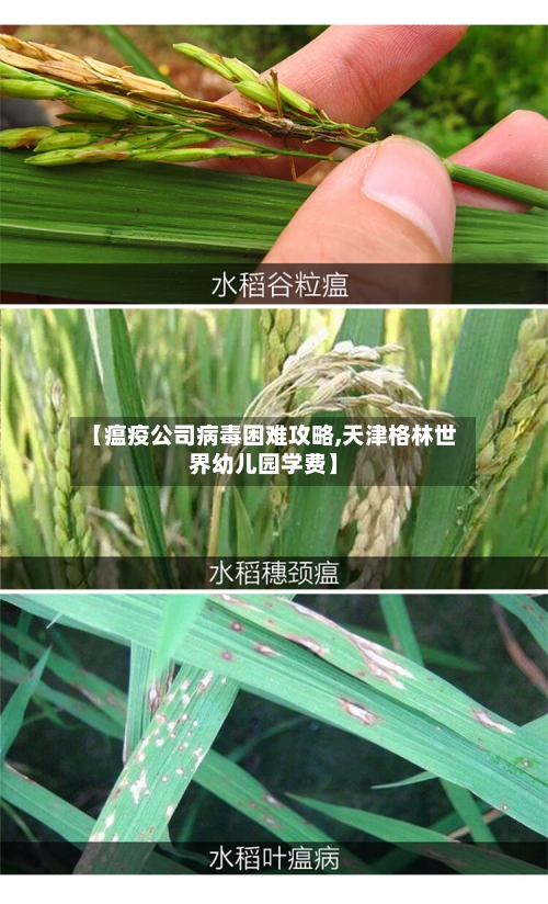 【瘟疫公司病毒困难攻略,天津格林世界幼儿园学费】-第2张图片