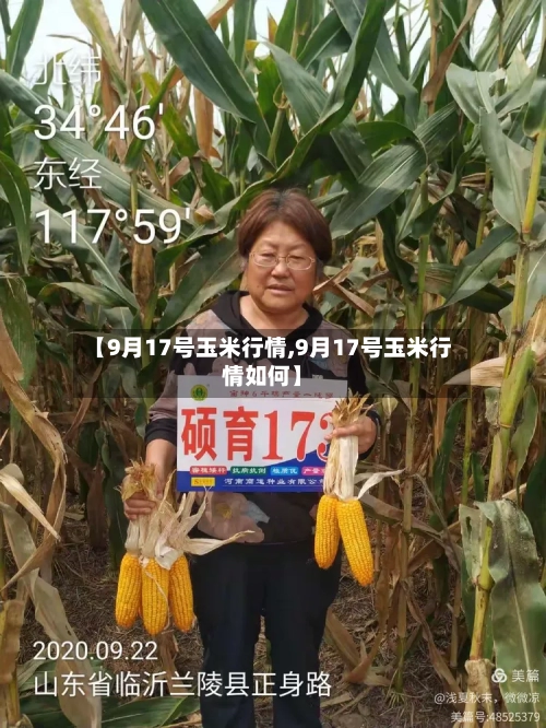 【9月17号玉米行情,9月17号玉米行情如何】-第1张图片