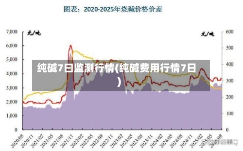 纯碱7曰监测行情(纯碱费用行情7日)-第1张图片