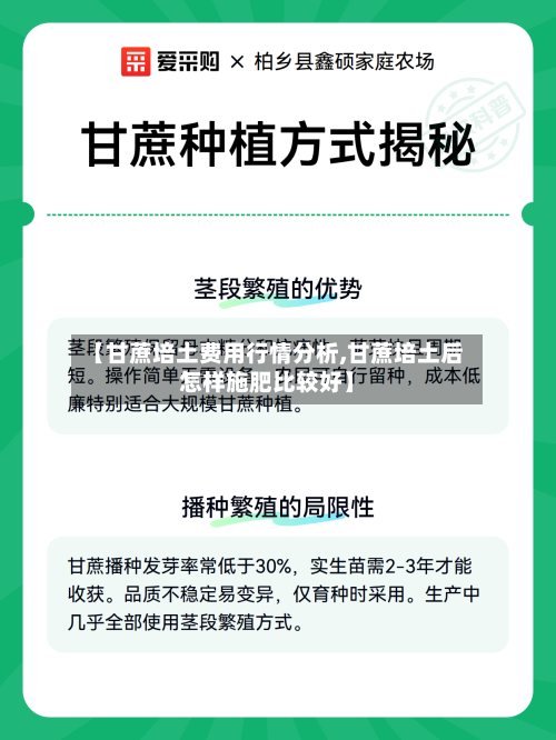 【甘蔗培土费用行情分析,甘蔗培土后怎样施肥比较好】-第1张图片