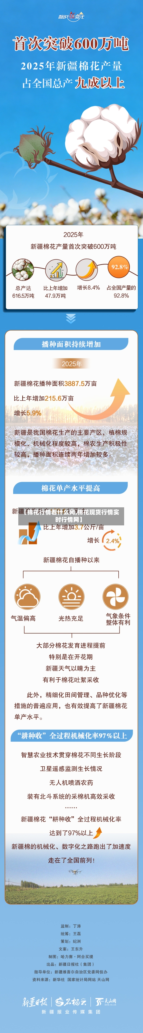 【棉花行情看什么网,棉花现货行情实时行情网】-第1张图片