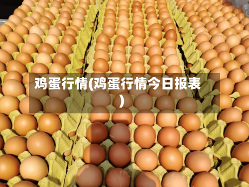 鸡蛋行情(鸡蛋行情今日报表)-第1张图片